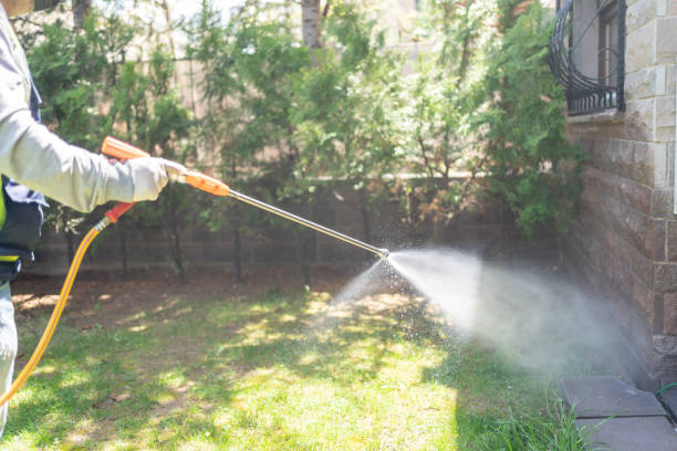 Pest Prevention Services in Dent, OH